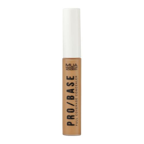 PB-FULL-COVER-CONCEALER--170