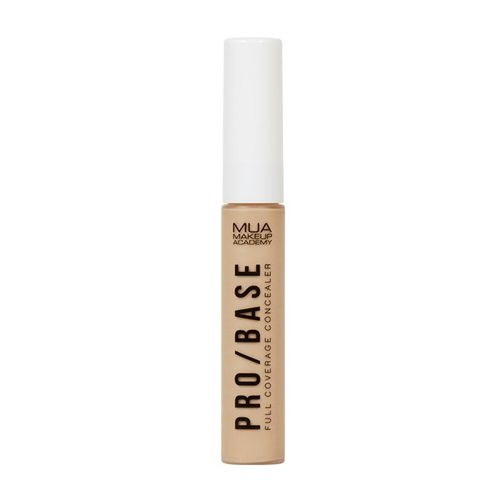 PB-FULL-COVER-CONCEALER--146