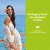 COOL-ALOE-ICE-CONTEXTO