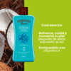 COOL-ALOE-ICE-BENEFICIOS