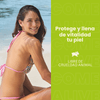 ALOE-VERA-CONTEXTO